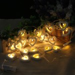 Photo lights, 1 meter, 10 leds, heart design